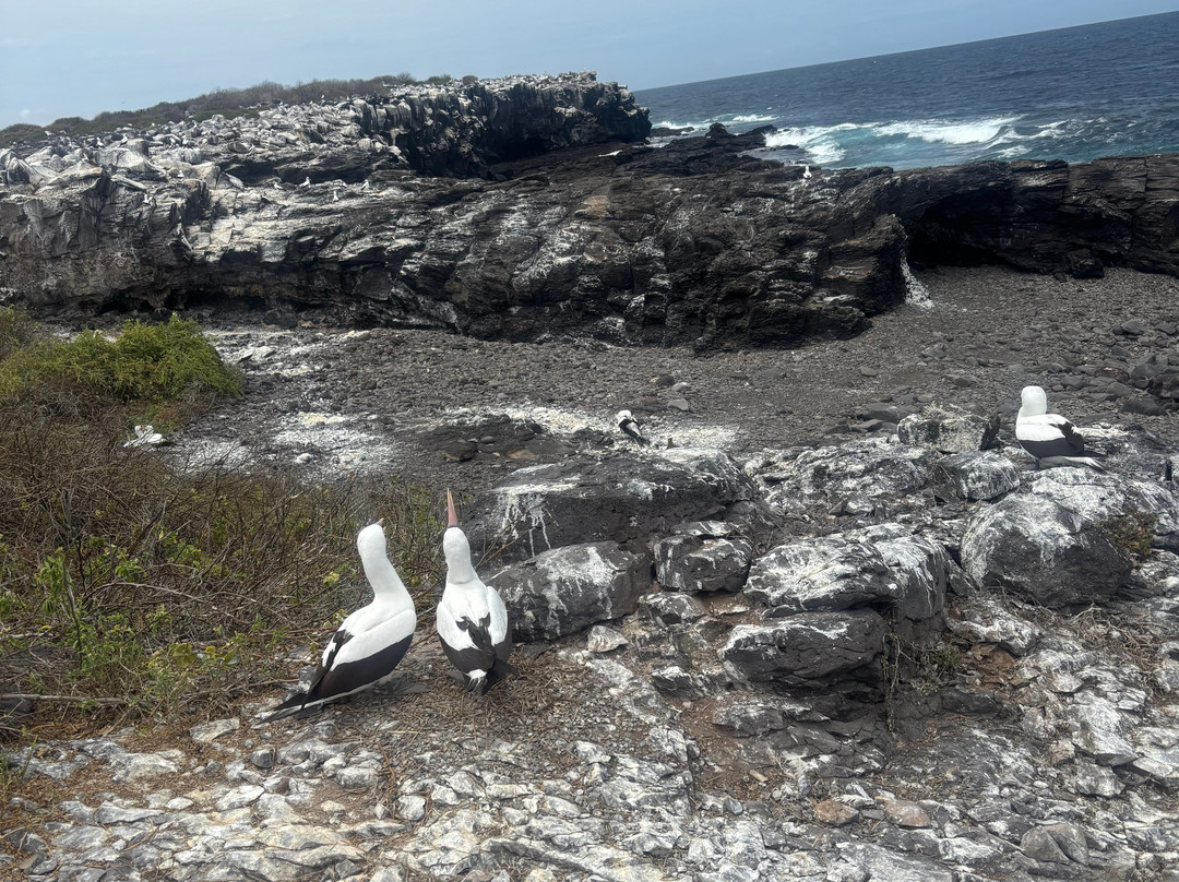Eco-Challenger Galapagos Tour Agency-圣克里斯托瓦尔必去景点