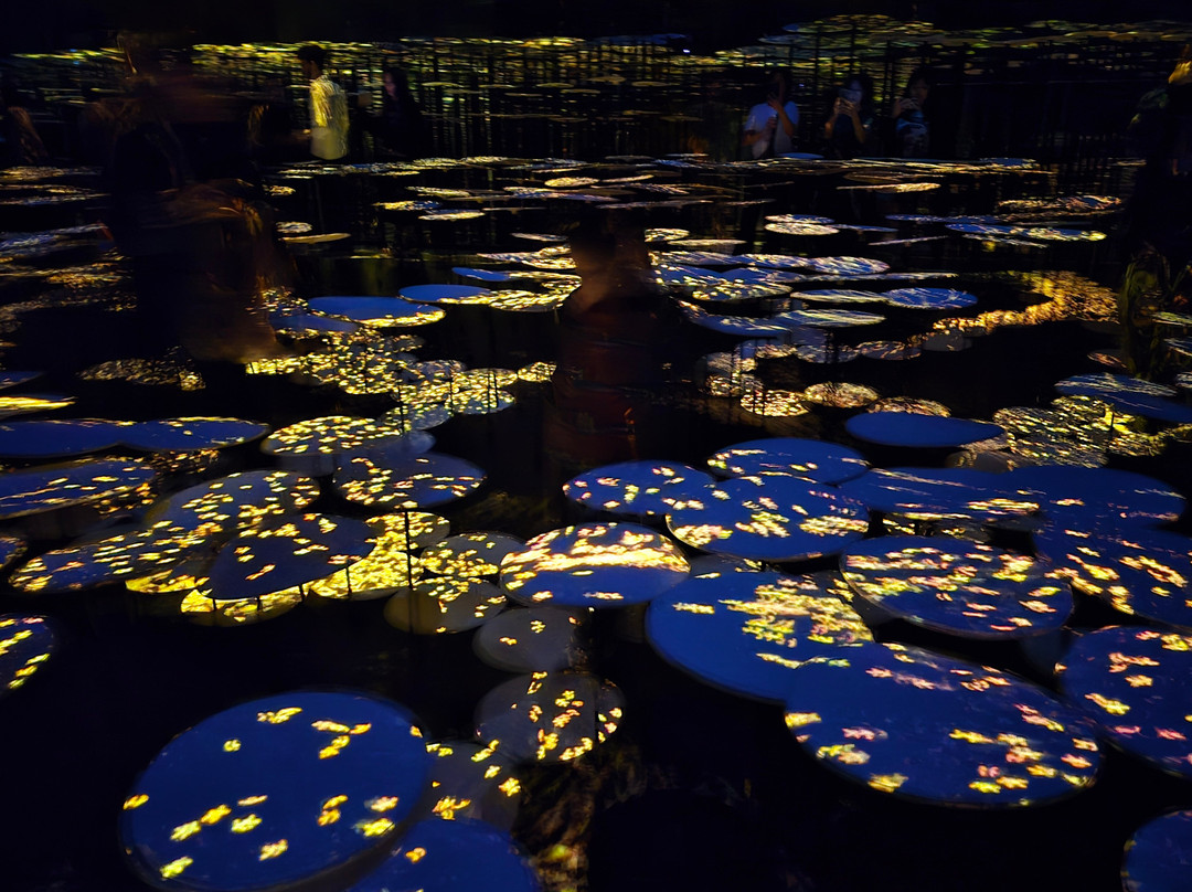 Teamlab Borderless Tokyo-港区必去景点