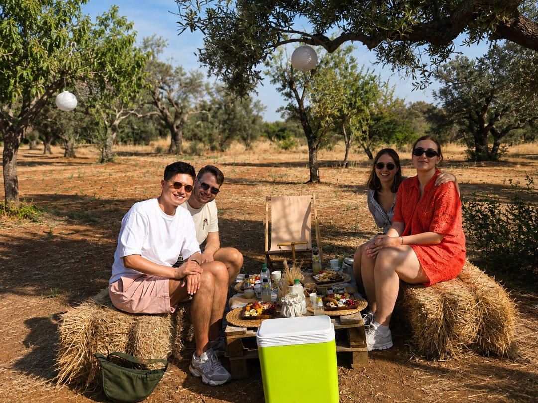 Olive Grove Experience-San Vito dei Normanni必去景点