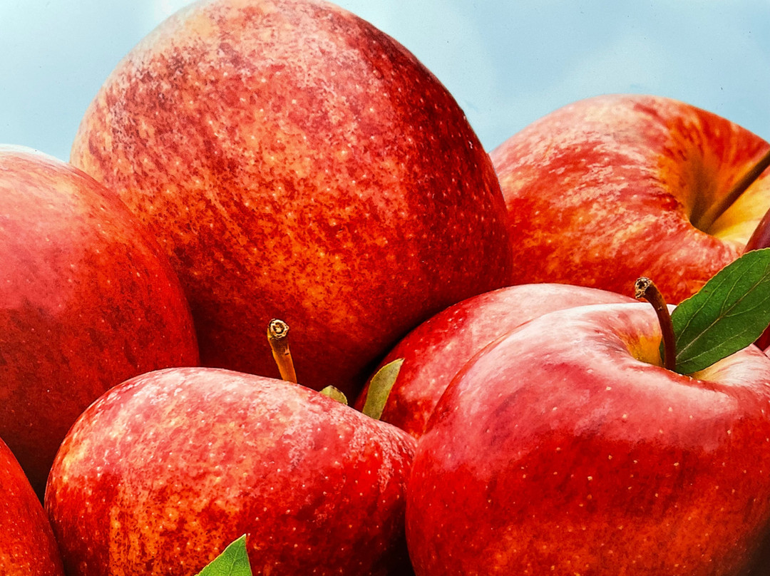 Fly Creek Cider Mill & Orchard-Fly Creek必去景点