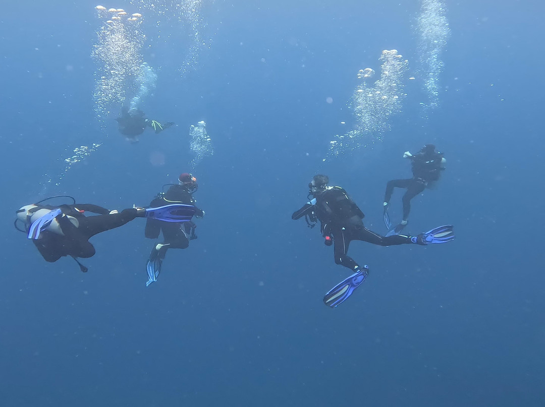 Just Diving-Bain Boeuf必去景点