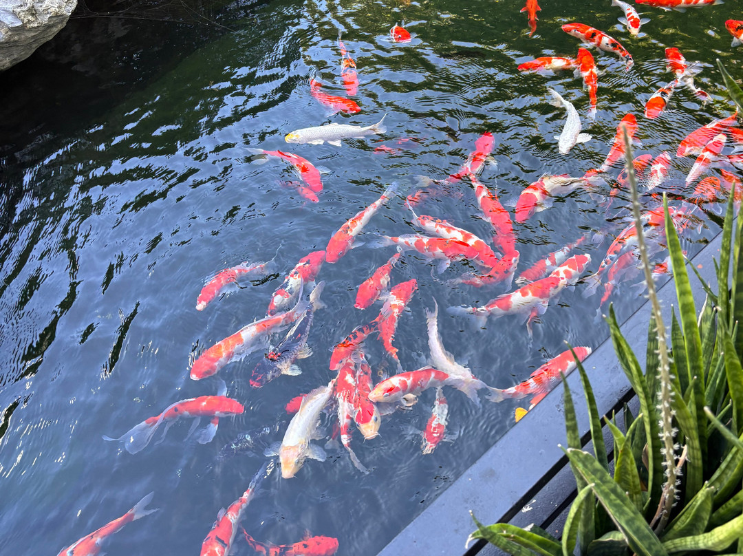 森纳顺化酒店主图