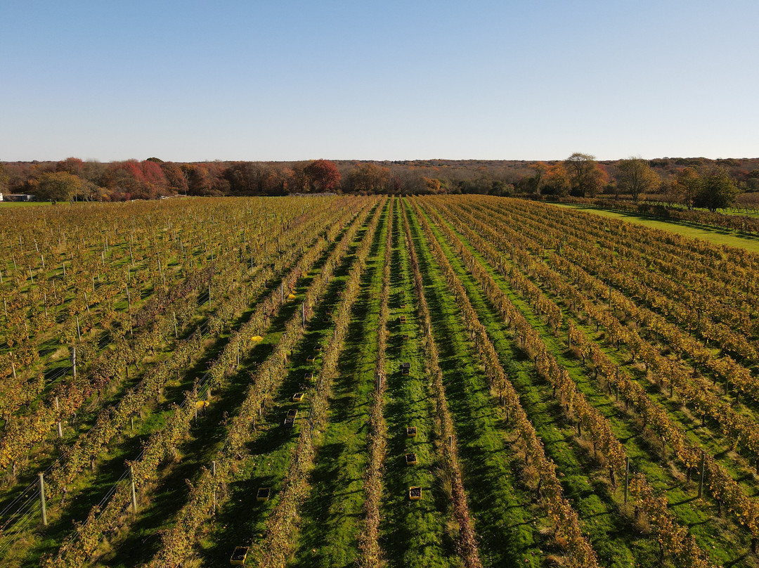 Sakonnet Vineyard-Little Compton必去景点