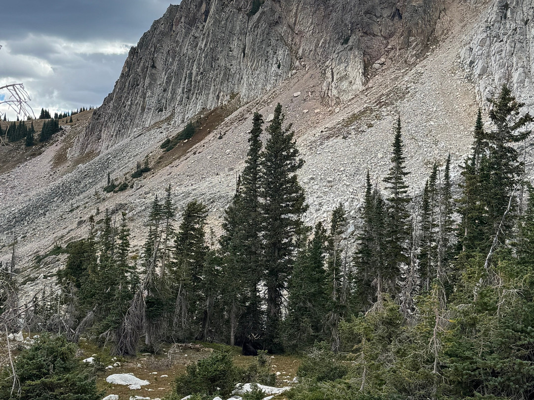 Snowy Range Ski Area-Centennial必去景点