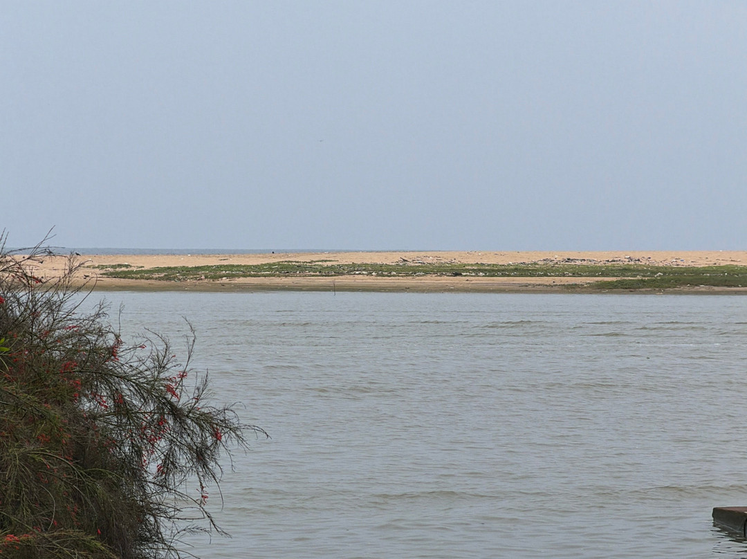 Estuary Sarovar Premiere，Poovar岛主图