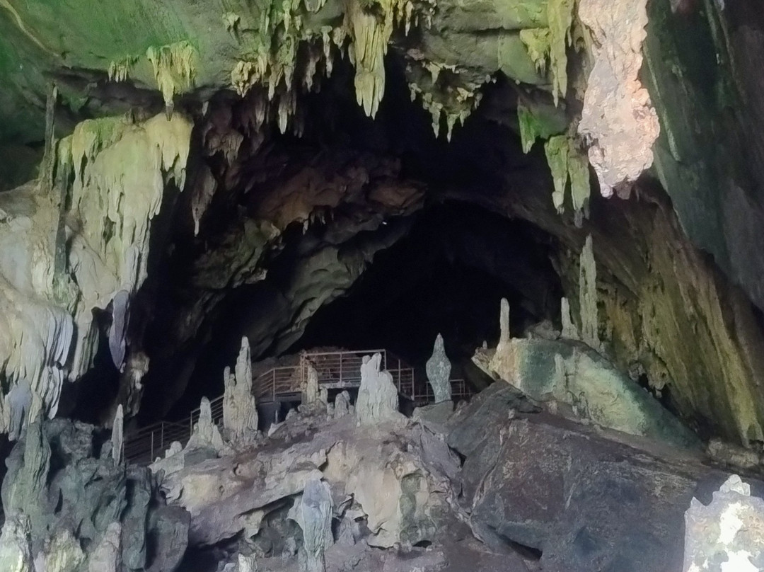 Cueva de Las Lechuzas-Tingo Maria必去景点