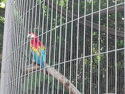 Jardin de la Ménagerie-索城必去景点