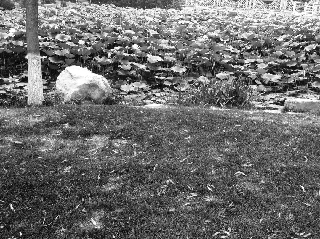 抱犊寨红色旅游区-栾川县必去景点