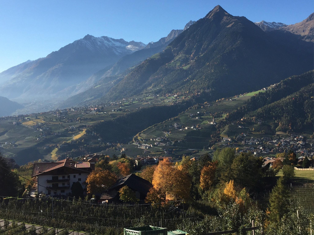 Hotel Alpenrose