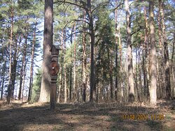 Gnyozdovo Historical Archeological and Natural Museum Reserve景点图片