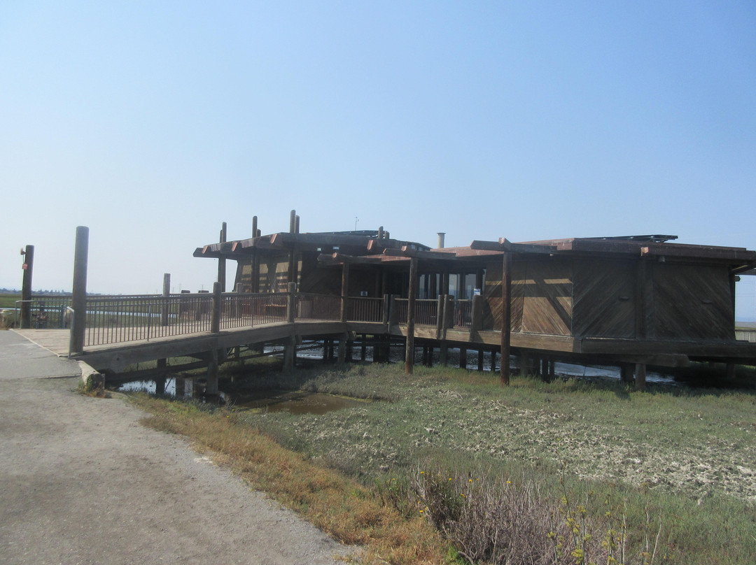 Lucy Evans Baylands Nature Interpretive Center景点图片