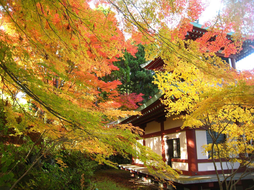 Dairyuji Temple景点图片