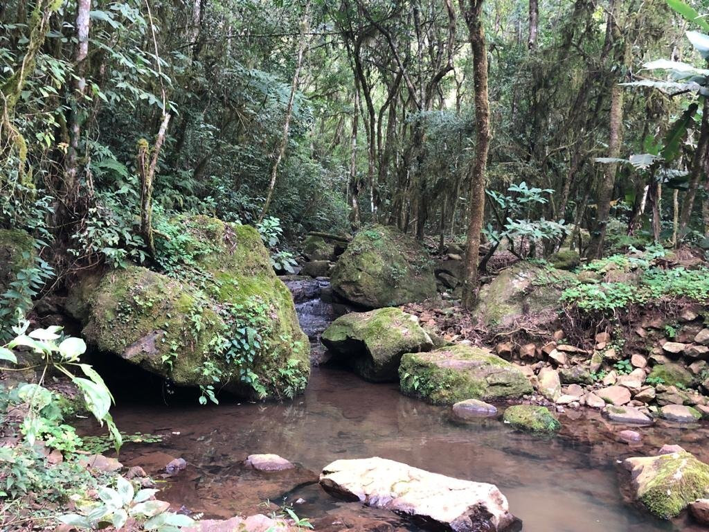 Travessão Mutzel-Nova Padua必去景点