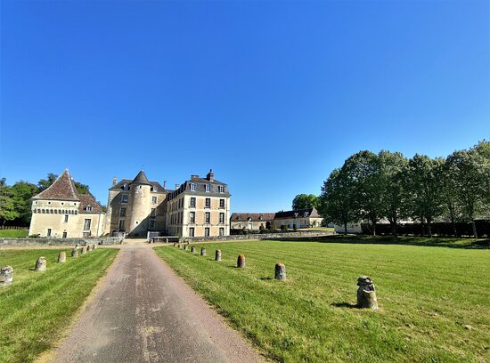 Chateau de Boussay景点图片