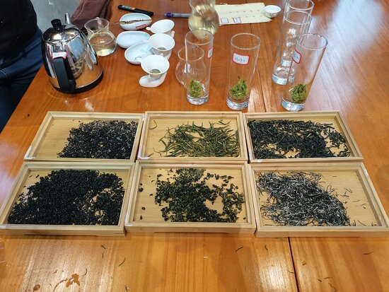 恩施茶园-恩施市必去景点