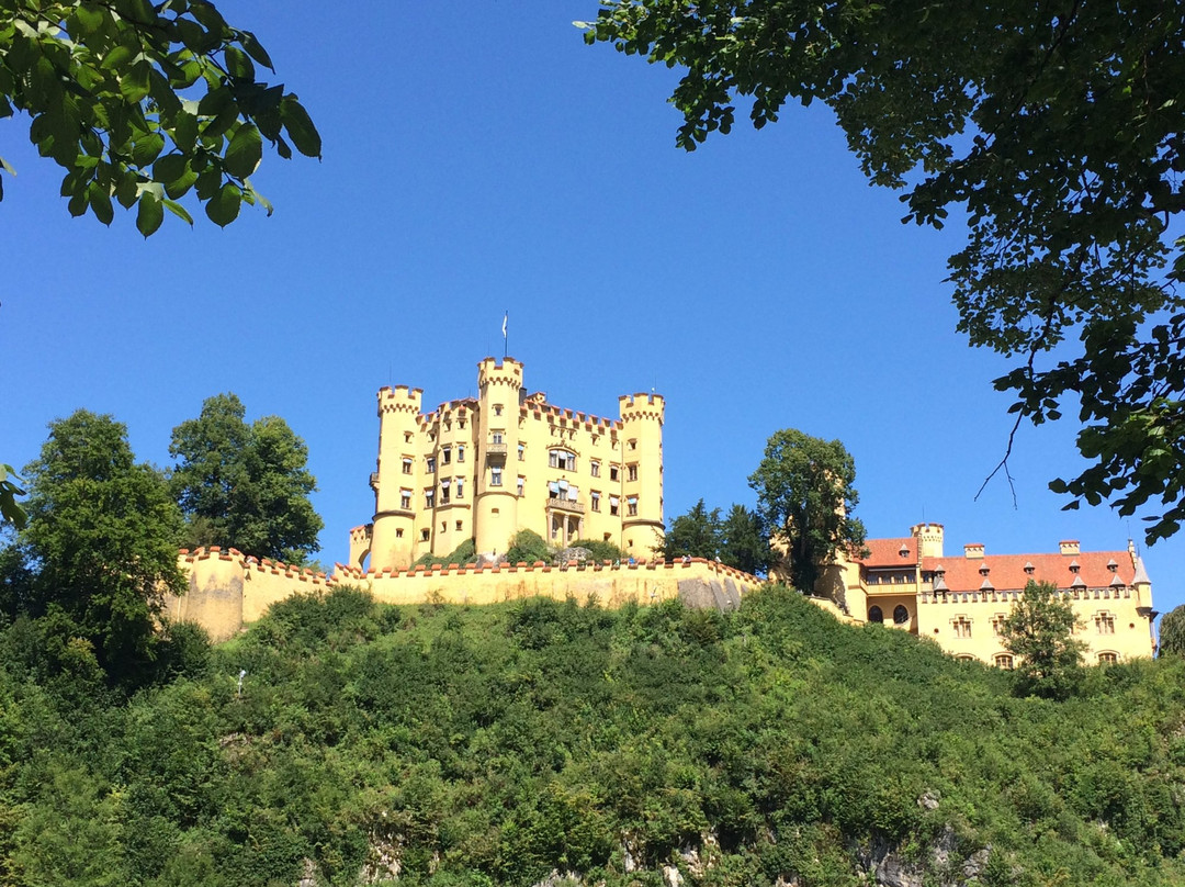 Schloss Hohenschwangau景点图片