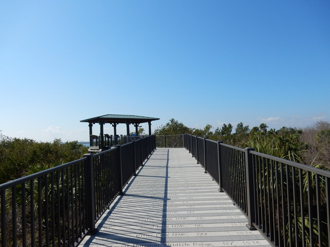 Pelican Island National Wildlife Refuge景点图片