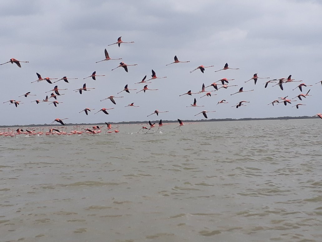 Grupo de Intérpretes Ambientales Wayuu Apushi Ipuana-Camarones必去景点