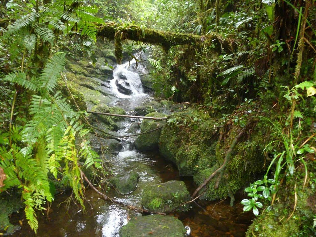 Refugio de Vida Silvestre Cerro Dantas景点图片