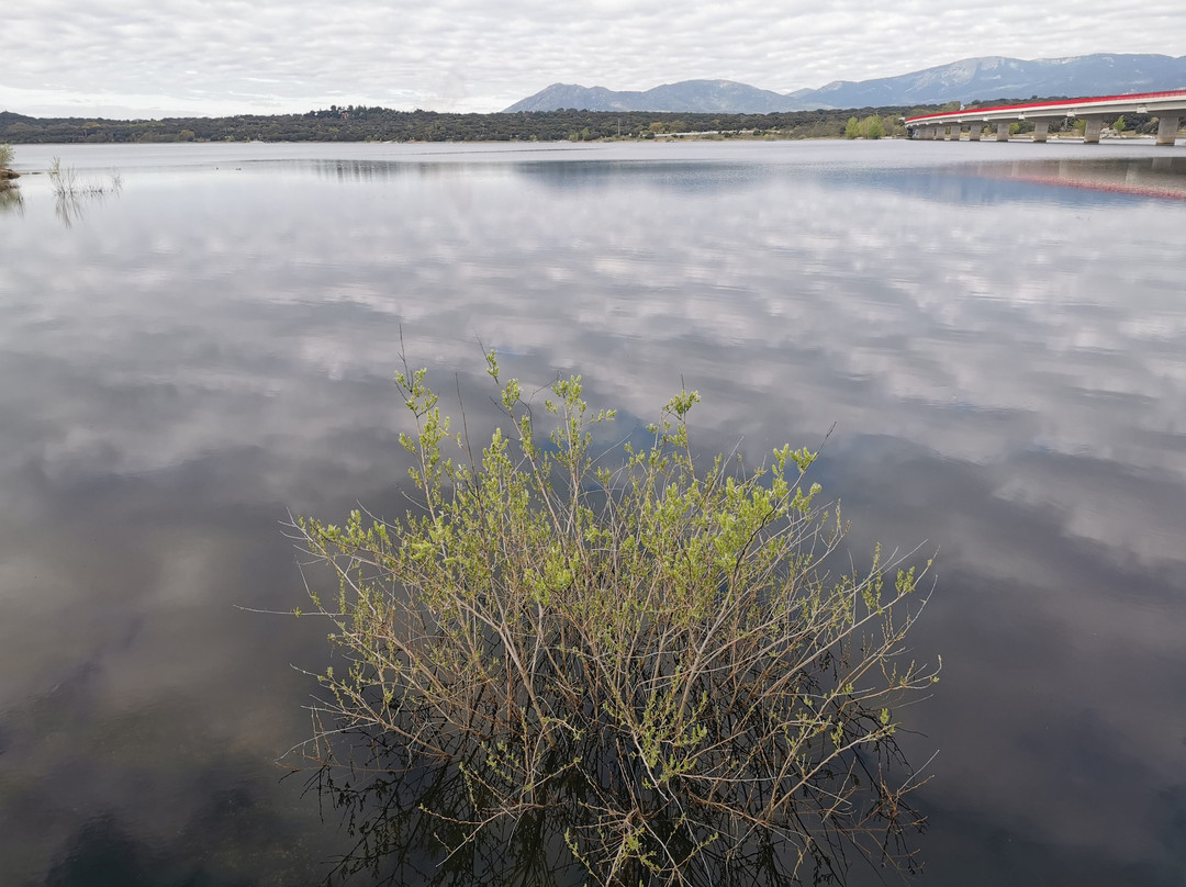 Mirador Embalse De Valmayor景点图片