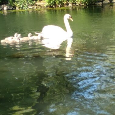 Locke Park-Redcar必去景点