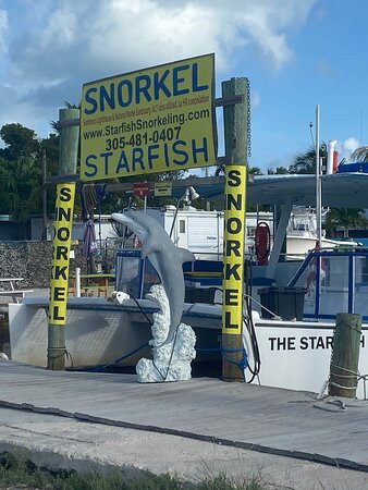Starfish Snorkeling景点图片