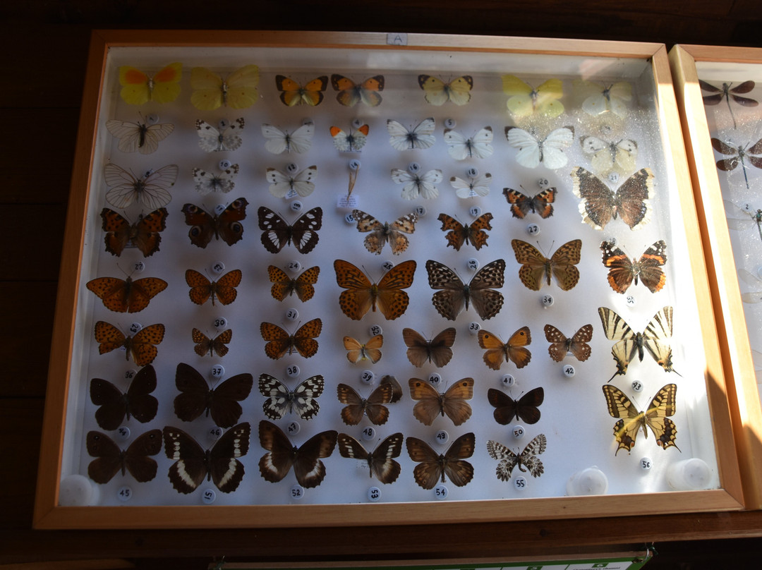 Giardino Botanico Montano di Pratorondanino-Campo Ligure必去景点