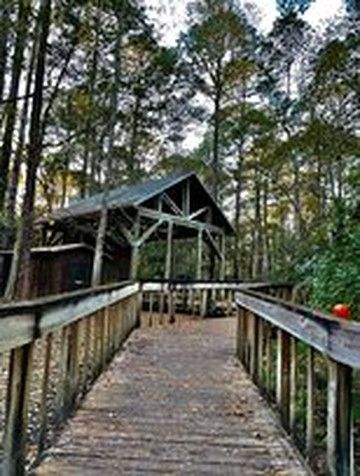 Tillie K. Fowler Regional Park-杰克逊维尔必去景点