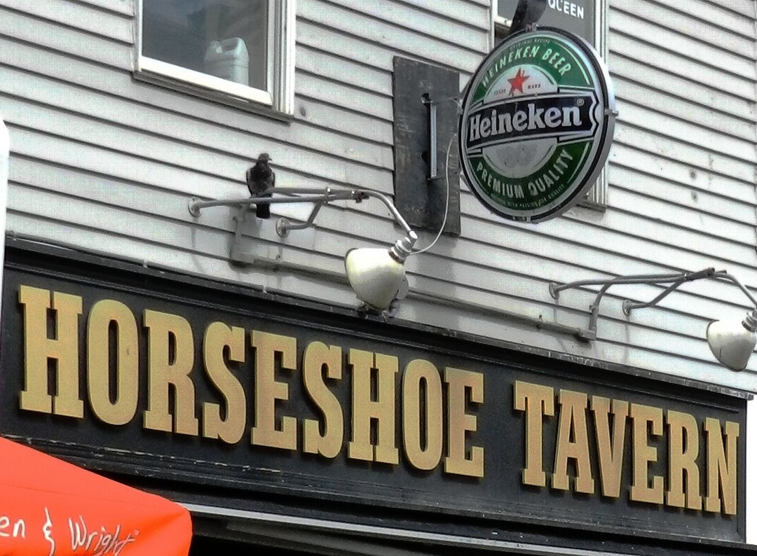 Horseshoe Tavern-多伦多必去景点