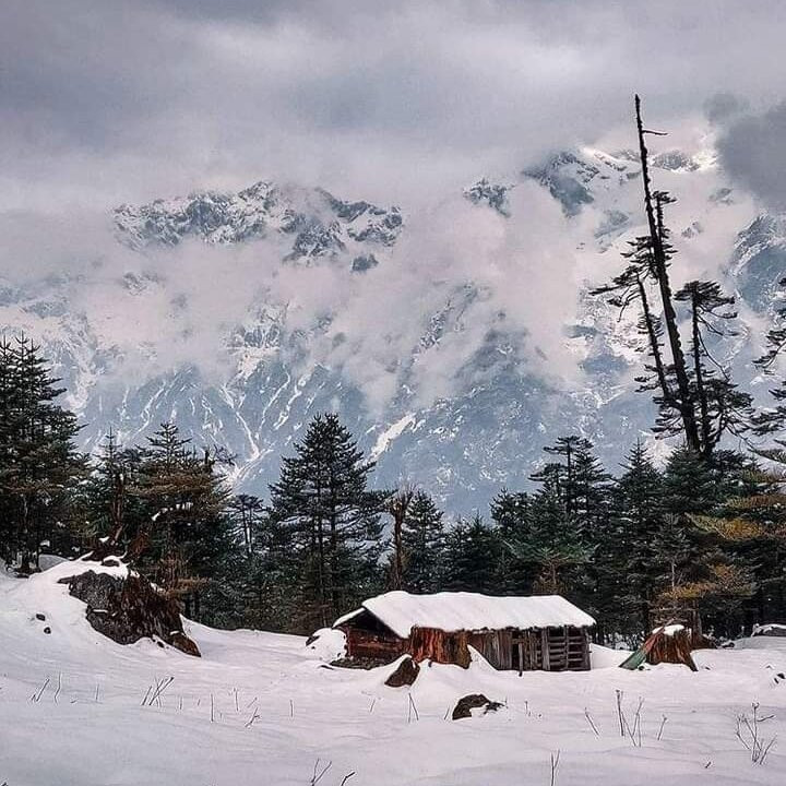 Yumthang Valley-Lachung必去景点