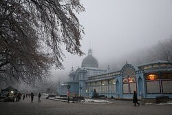 Pushkinskaya Gallery景点图片