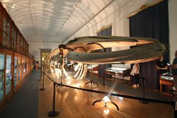 Museu da Ciencia-科英布拉区必去景点