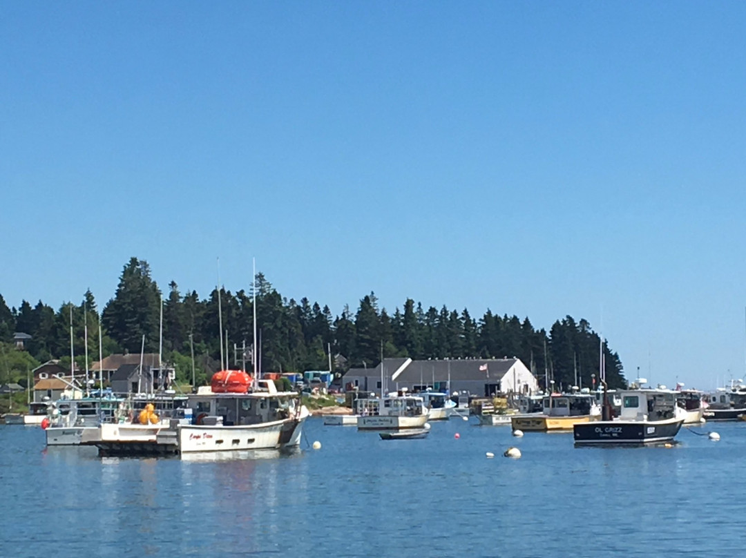 Corea Harbor's Black Duck Inn