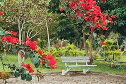 Ibiapaba Hotel主图