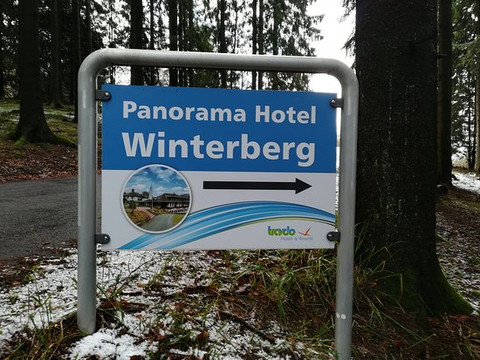 Panorama Hotel Winterberg主图
