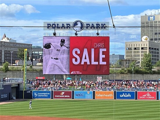 Polar Park-伍斯特必去景点