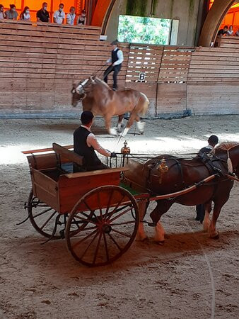 Haras National de Lamballe景点图片