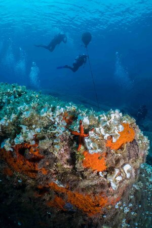 Acquaman Diving Center景点图片