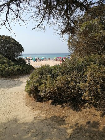 Spiaggia di Cala Cipolla景点图片