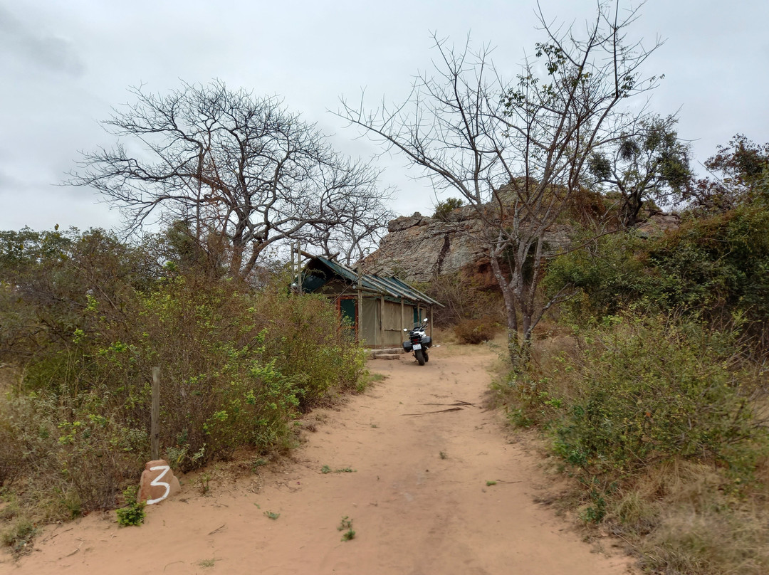 阿威蓝尼小屋