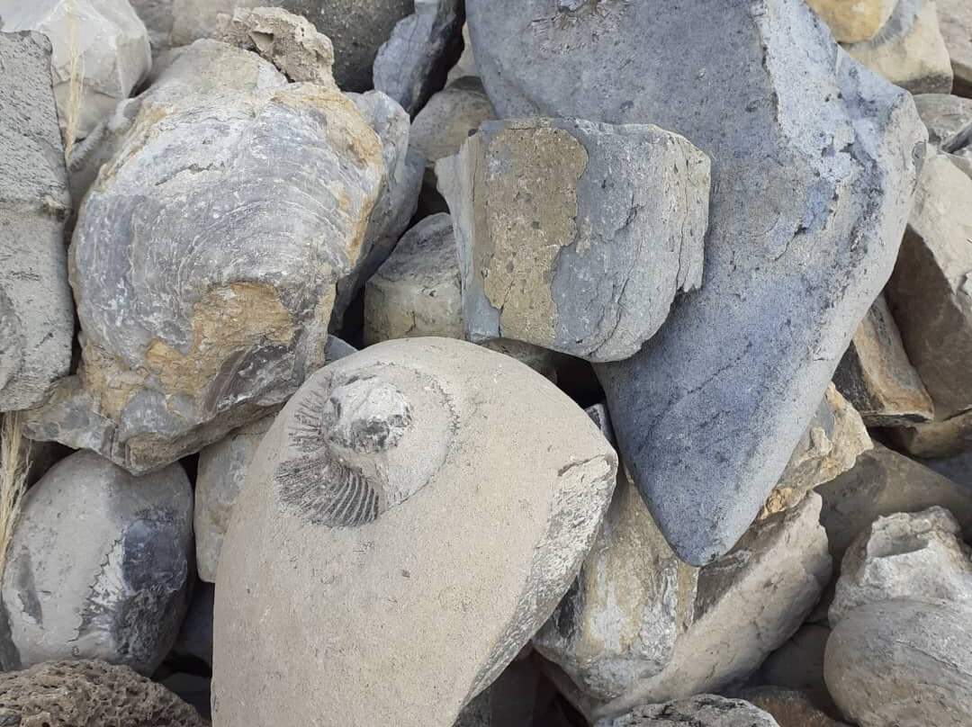 Cascada Maqui Malal-Malargue必去景点