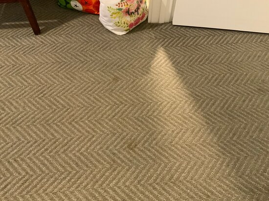 Briar Barn Inn主图