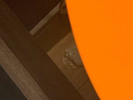 Tru by Hilton Beavercreek Dayton主图