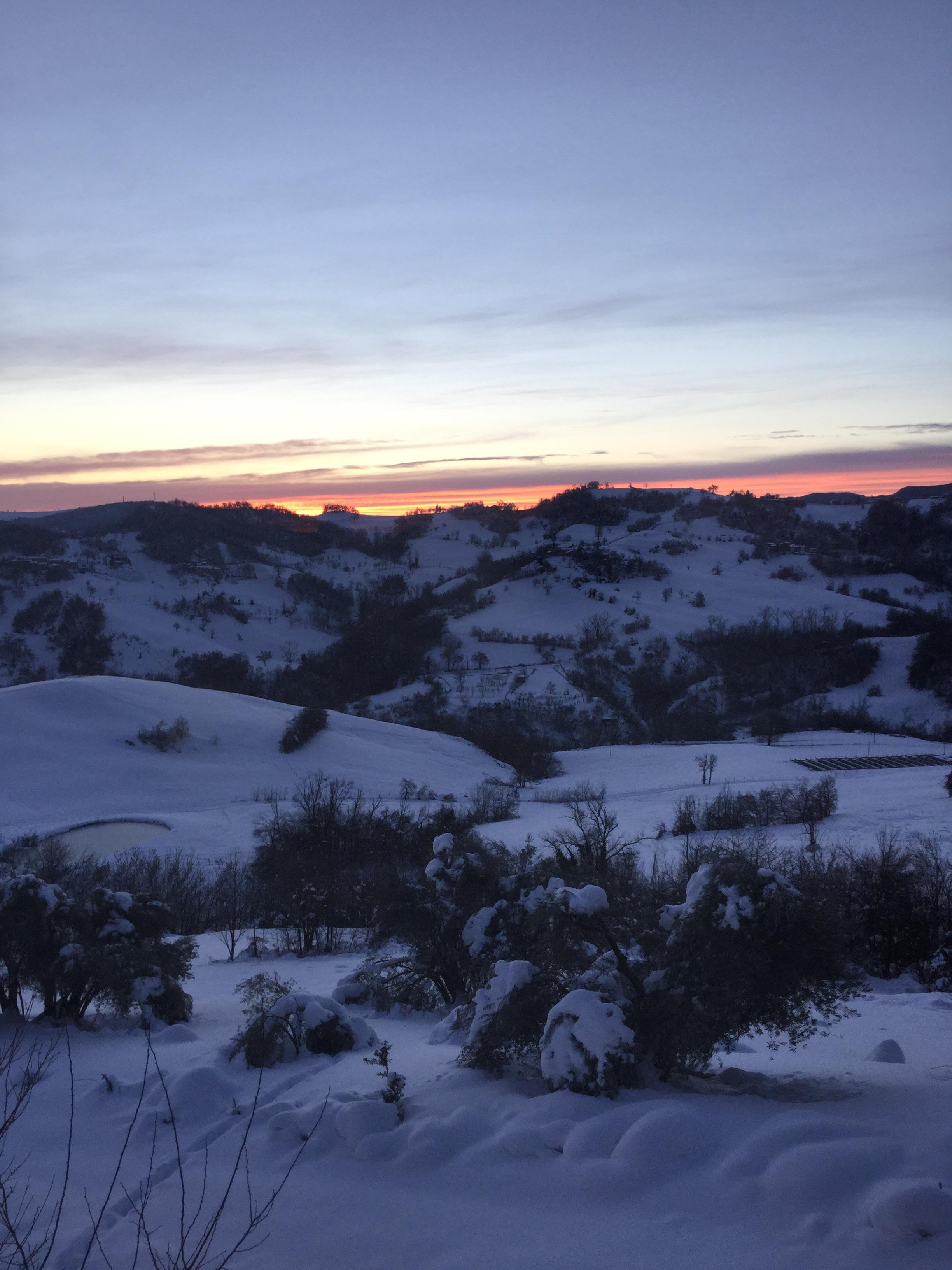 Casa della Musica-酒店景观