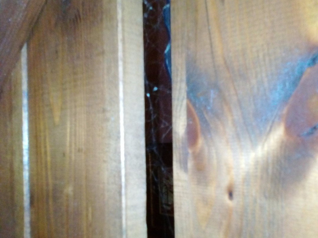 Pierion Musses主图