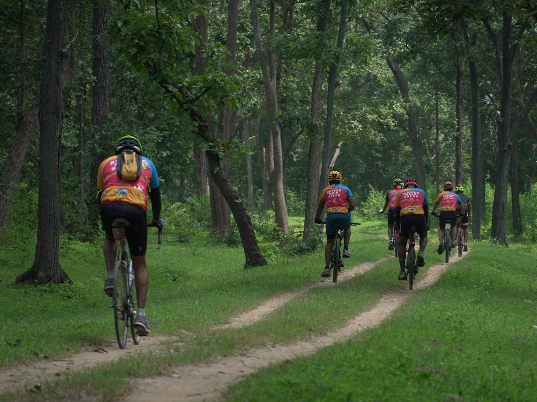 Cycle Safari景点图片