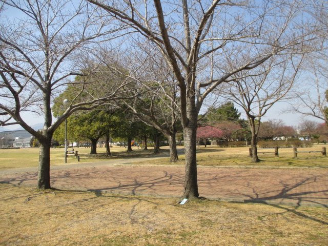 Sakanaigawa Shinsui Park-松阪市必去景点