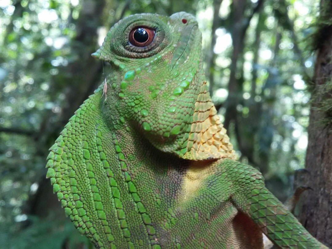 Day Tours Sri Lanka-班托塔必去景点