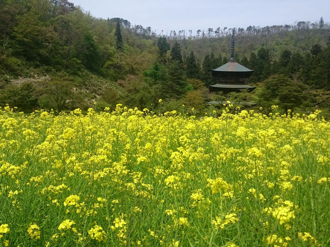 2023年9月高畠町旅游攻略旅游必去景点旅游景点门票猫途鹰