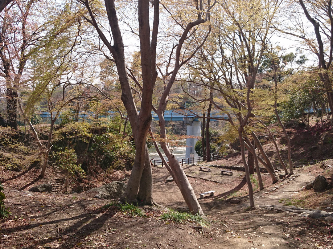 Suzumenomiya Park景点图片